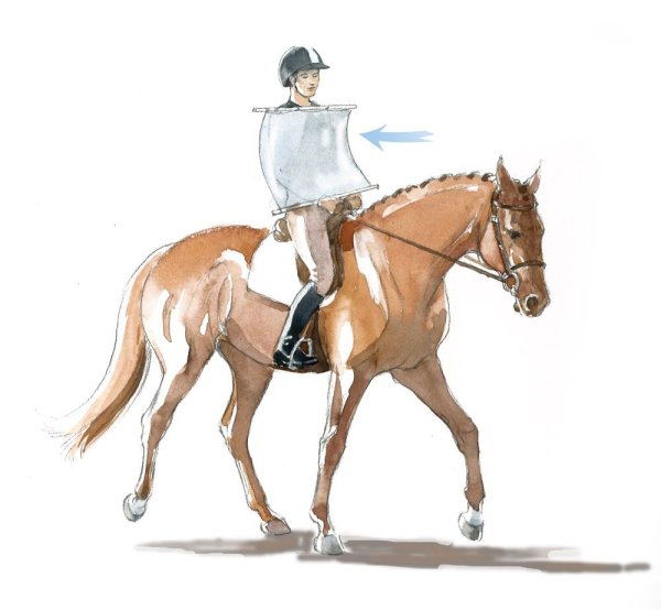 Конный спорт плакат