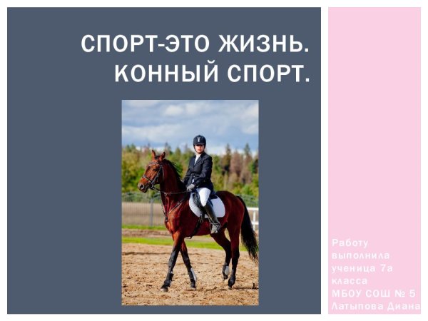 Лошадь карикатура