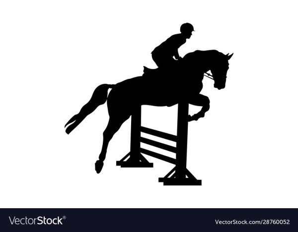 Анекдоты про лошадей смешные