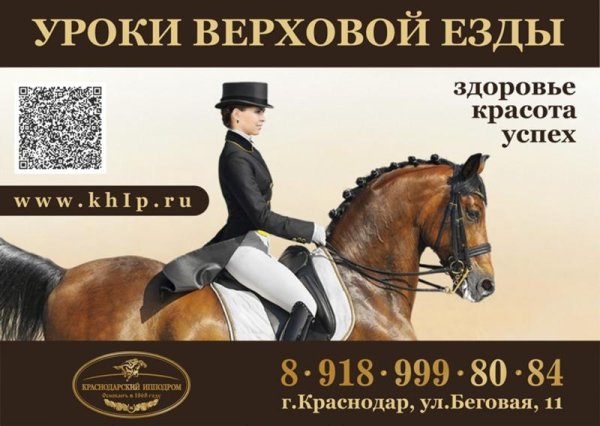 Факты о конном спорте