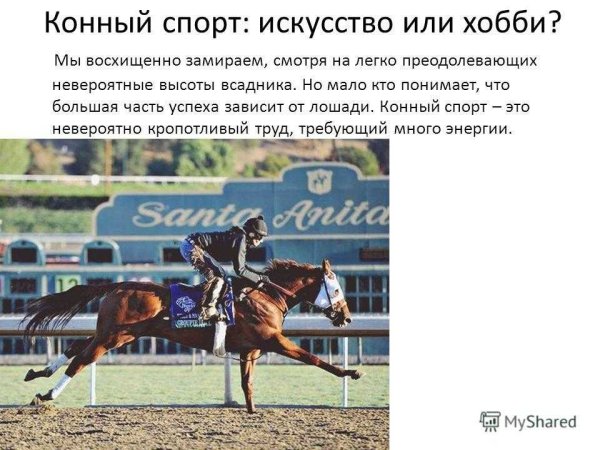 Конный спорт иллюстрации