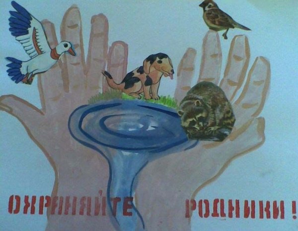 Берегите Родники плакат