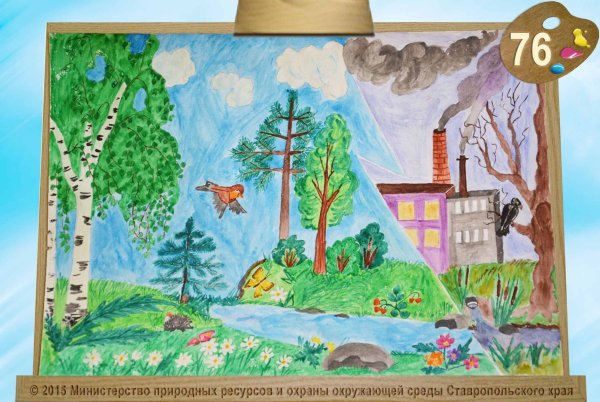 Рисунки по сохранению природы