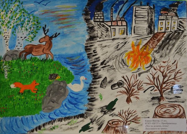 Рисунок на тему заповедник