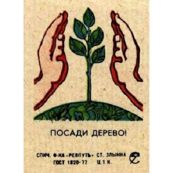 Плакат берегите растения