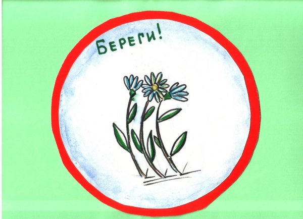 Плакат берегите природу