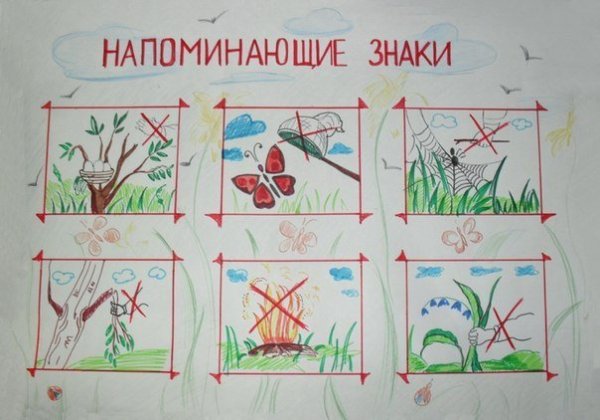 Рисунок на тему береги растения