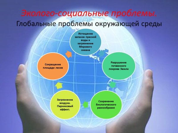 Социально-экологические проблемы современности