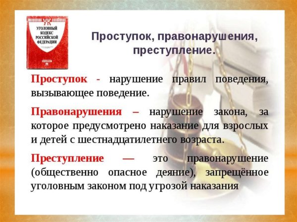 Профилактика правонарушений