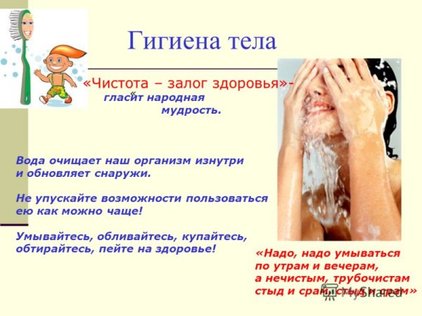 Гигиена тела человека
