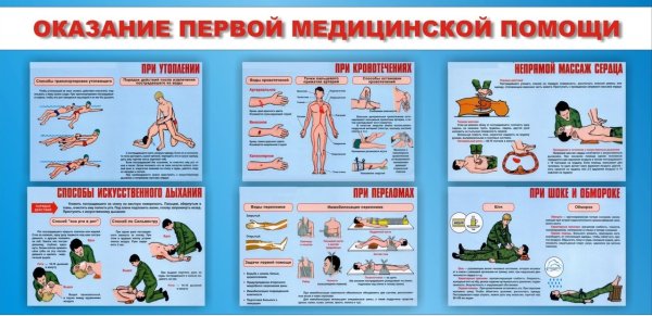 Принципы при оказания первой мед помощи