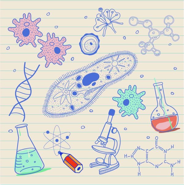 Биологические рисунки
