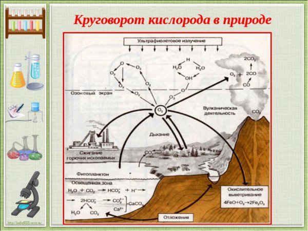 Антуан Лоран Лавуазье кислород