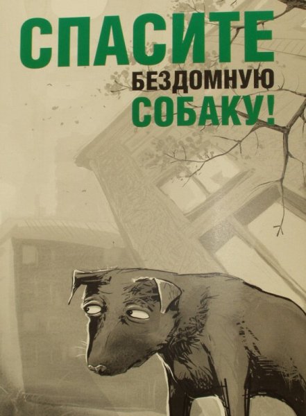 Плакат бездомные животные