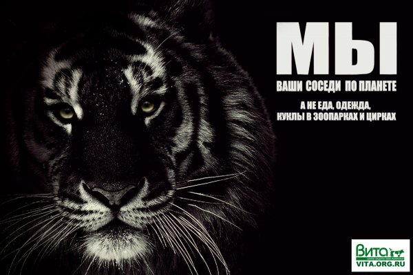 Защита животных Постер