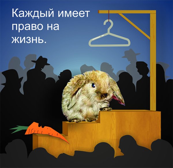 Социальная реклама защита животных