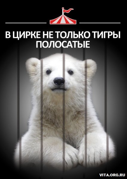 Защита животных