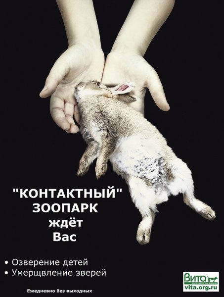 Социальная реклама защита животных