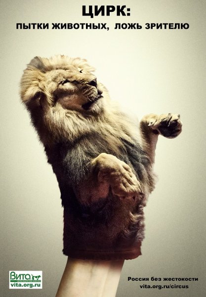 Животные в цирке социальная реклама