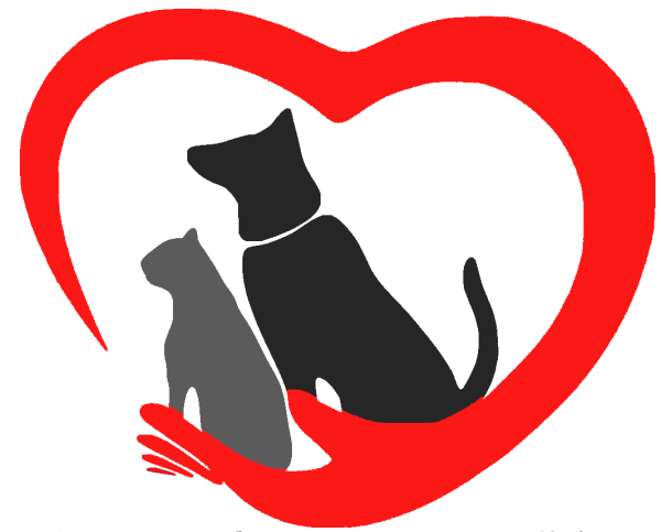 Защита бездомных животных