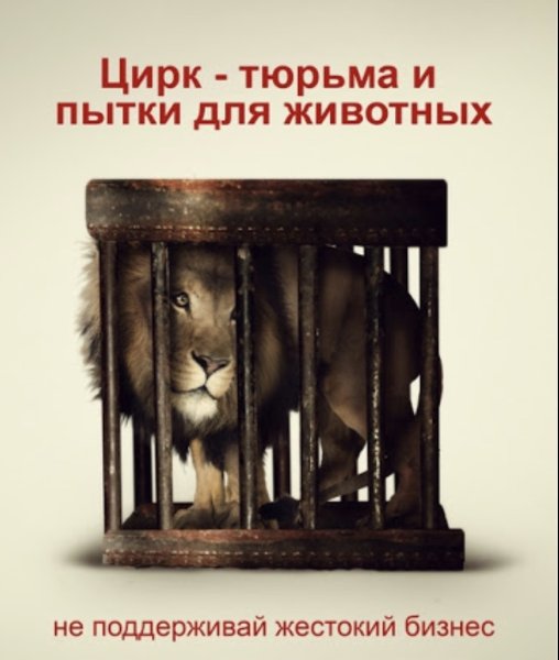 Против цирка с животными
