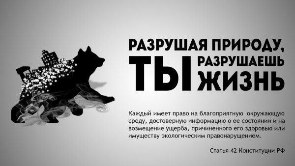 Социальная реклама