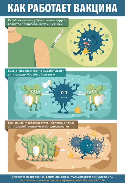 Коронавирус прививка плакат
