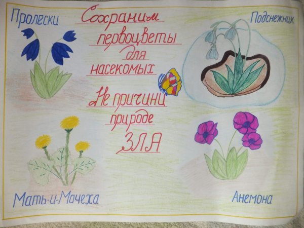 Плакат берегите цветы