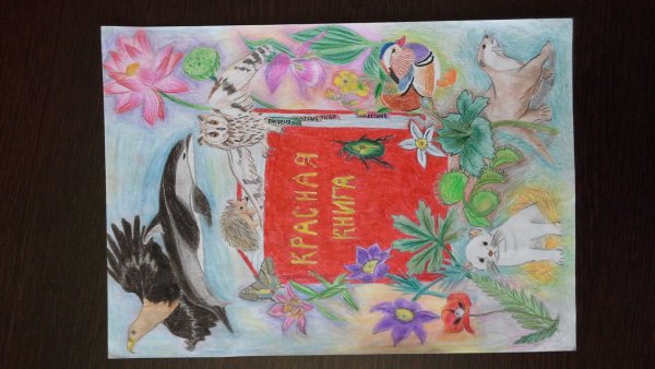 Рисунок на тему красная книга