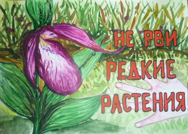 Сохраним заповедную природу