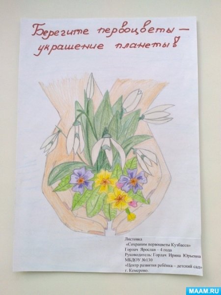 Конкурс листовок сохраним первоцветы Кузбасса