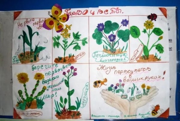 Плакат на тему растения