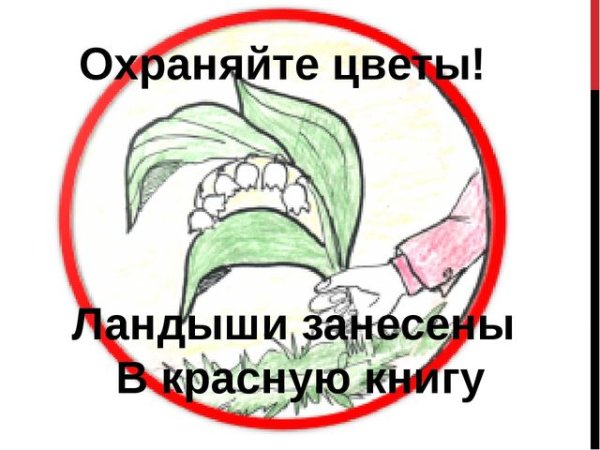 Берегите редкие растения