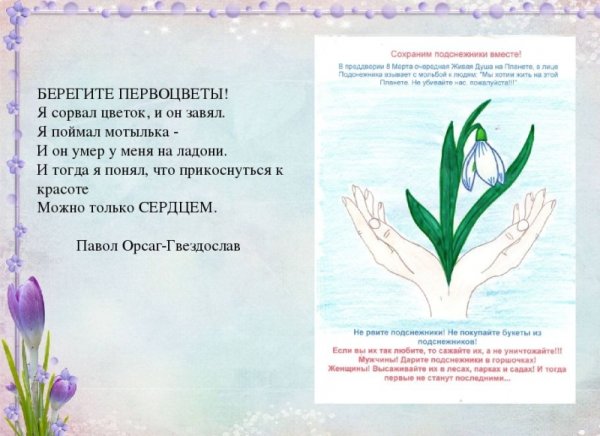 Берегите первоцветы
