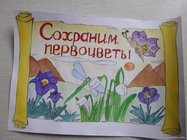 Плакат первоцветы