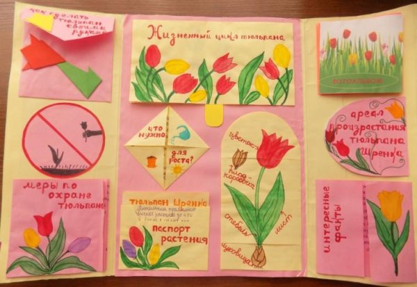 Цветок для лэпбука