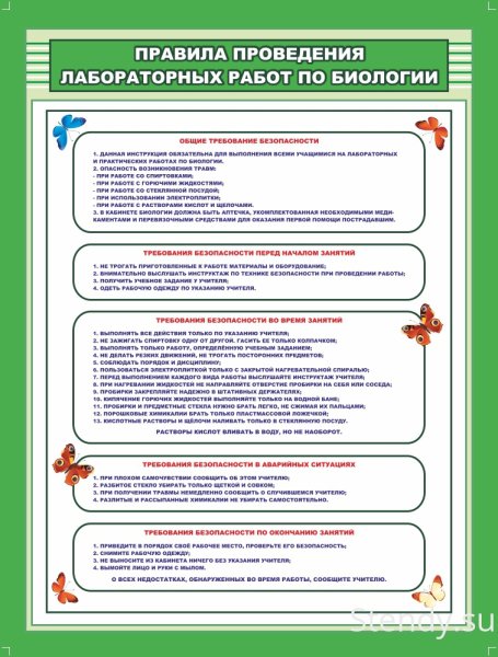 Правила проведения лабораторных работ по биологии