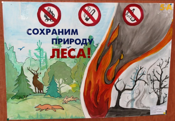 Сбережем леса от пожаров