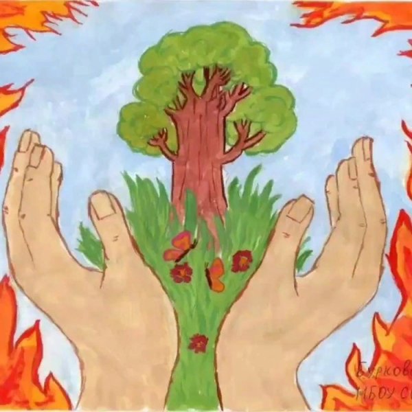 Плакат на тему безопасность в лесу