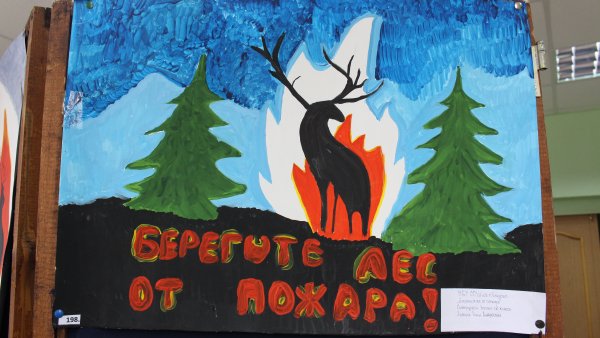 Берегите лес