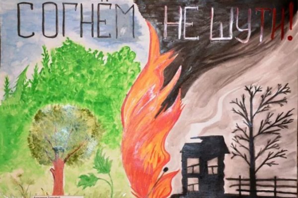 Сохраним леса от пожаров