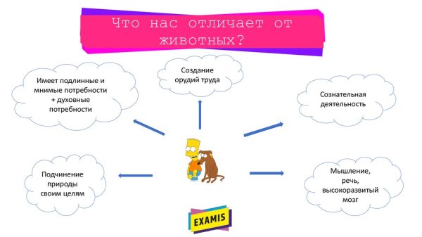 Потребности человека