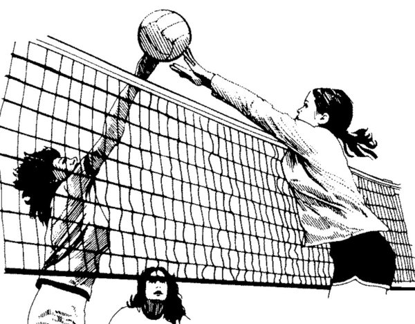Волейбол эскиз