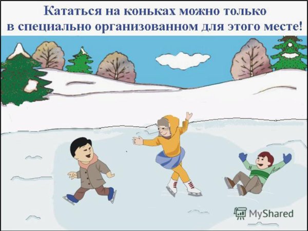 Поведение на льду