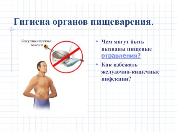 Памятка гигиена органов пищеварения