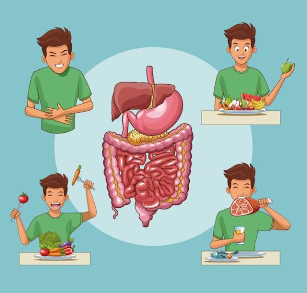Пищеварение для детей