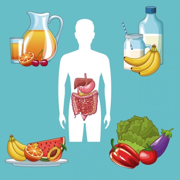 Здоровое пищеварение