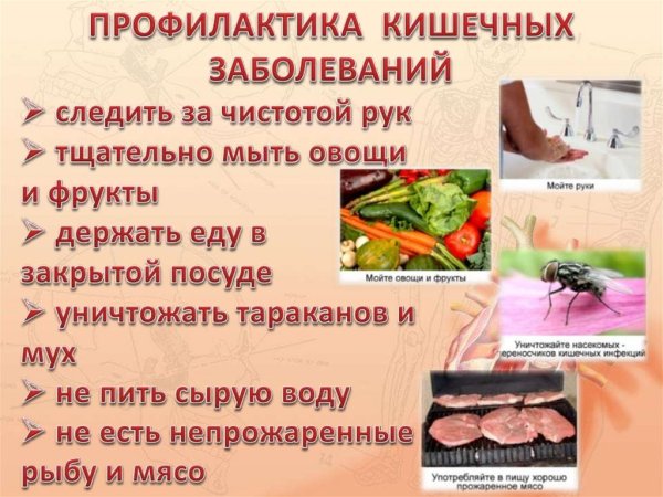 Меры профилактики желудочно-кишечных инфекций