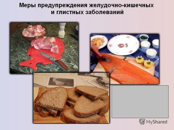 Глистные заболевания пищеварительной системы