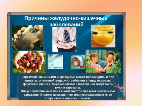 Причины желудочно-кишечных заболеваний